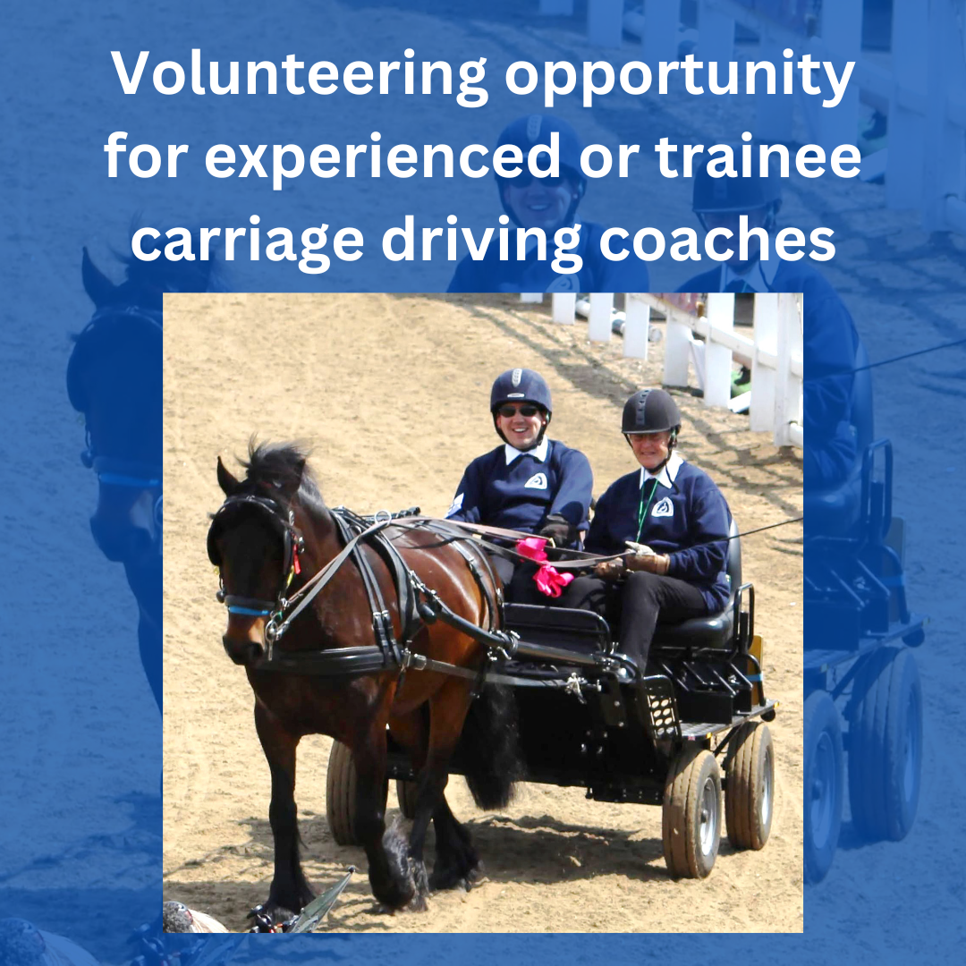 Exciting volunteering opportunity for experienced or trainee carriage driving coaches
